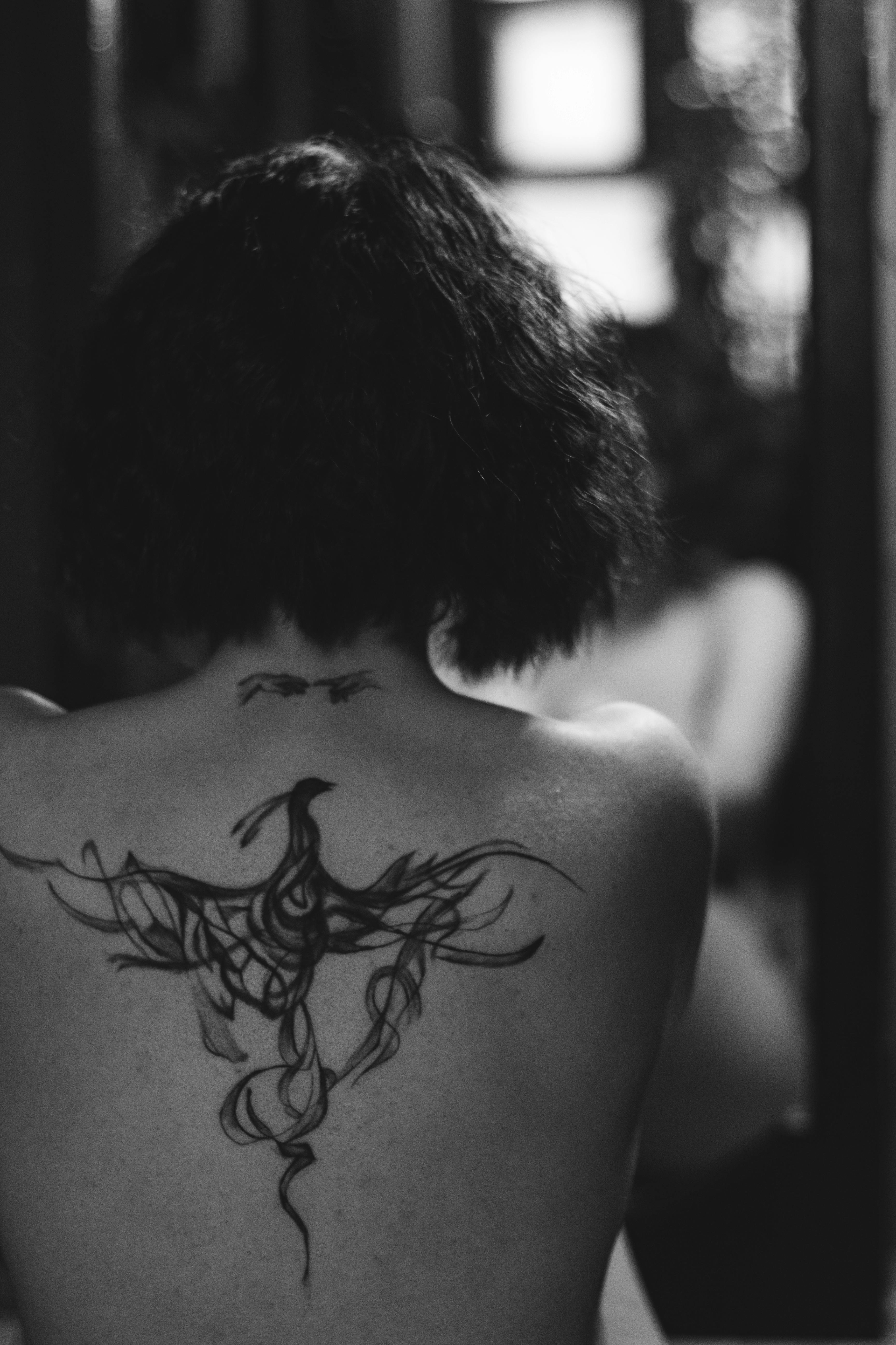 Abstract phoenix back