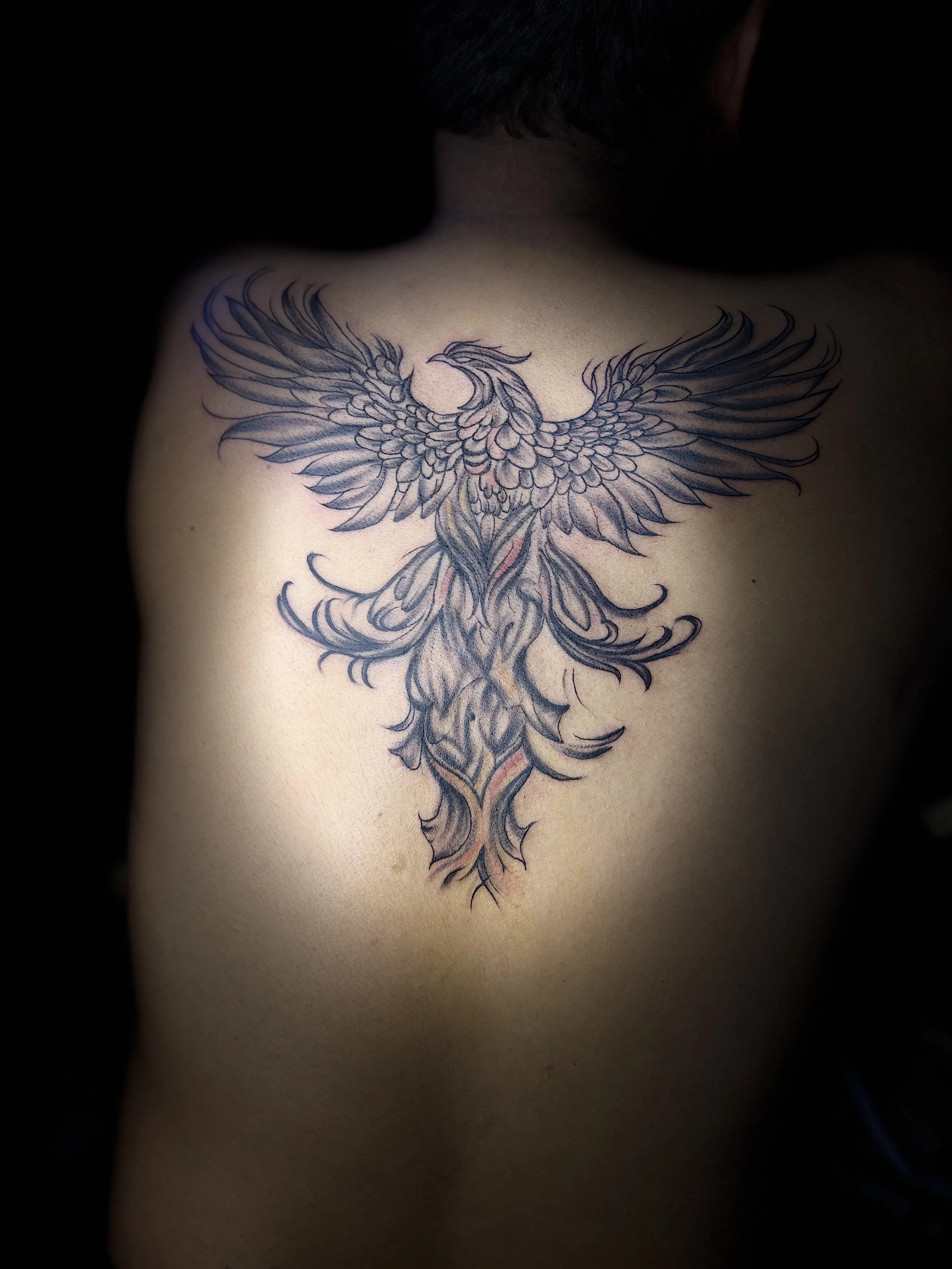 Phoenix back tattoo